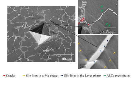 microindent test